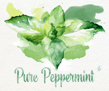 Image result for peppermint leaves watercolor